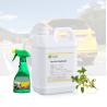 Buy cheap Sweet Osmanthus Fragrance Oil For Car Air Freshener Making Fragrance For Cars from wholesalers