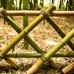 Construction Bamboo Raw Material