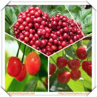 Buy cheap Hot selling in 2016 Acerola Cherry Extract 5:1 product