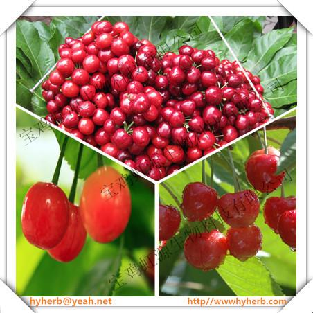 Buy cheap Hot selling in 2016 Acerola Cherry Extract 5:1 from wholesalers
