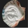 Buy cheap Easy Mold Recycled PVC Resin , TPC Paste Resin Flame Retardant Chemical Resistance from wholesalers