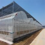 4.0-8.0M Height Agriculture Multi Span Plastic Film Greenhouse For Tomato