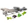 Buy cheap Food Shop Industrial Air Bubble Fruit Vegetable Washer for Washing Fruits Vegetables from wholesalers