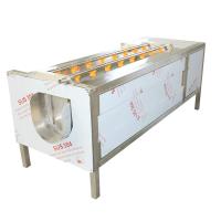 Buy cheap Roller Rootbeet Industrial Carrot Peeler 1400kg/H Root Vegetable Peeling Machine product