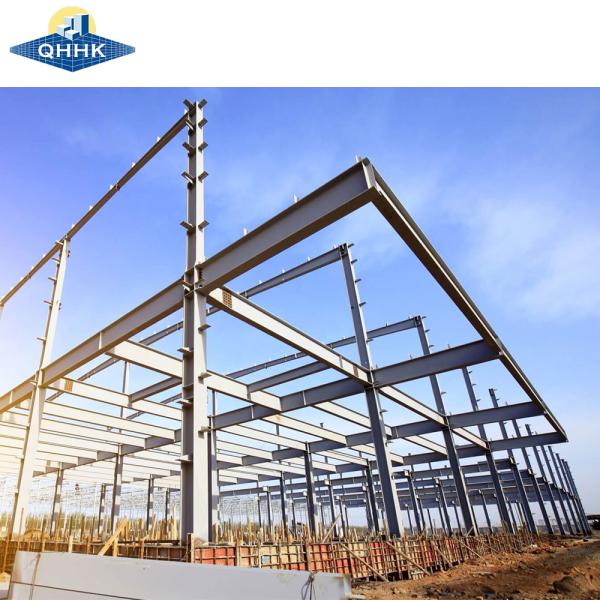 Versatile Steel Structure Construction Industrial Building Logistics Refrigerati