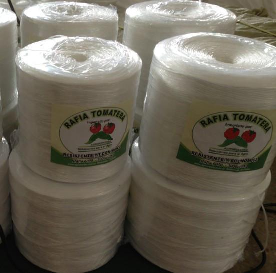 Buy cheap UV Resistant Tomato Twine for Agro Vegetable Fruit Horticulture Greenhouse from wholesalers