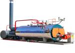 Factory Direct Supply Industrial Oil/Gas-Fired Steam Boiler For Cement Plant
