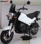 Transmission System Chain Drive 150CC 4-Stroke Engine Petrol Moto OEM Adult
