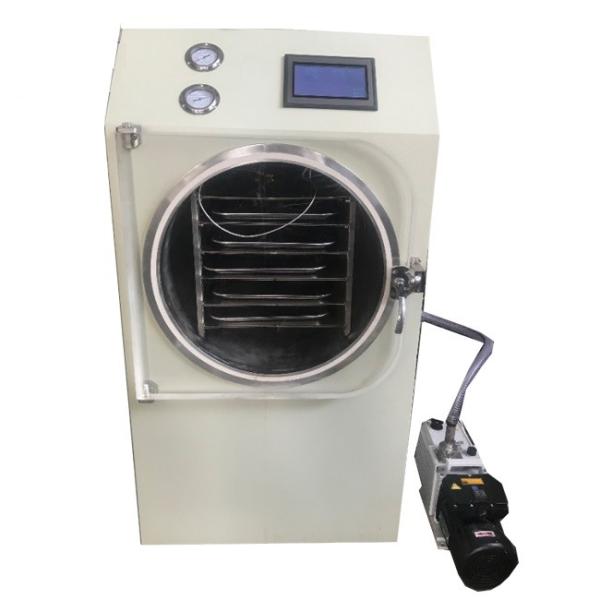 Buy cheap 0.6sqm Portable Food Freeze Dryer , Residential Freeze Dryer Built In Cold Trap from wholesalers