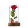 Buy cheap MDF Wood Base Borosilicate D12xH20cm Glass Dome Cloche from wholesalers
