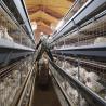 Buy cheap Commercial 4 Layer Broiler Chicken Cage 80Birds/Set SONCAP Certificated from wholesalers