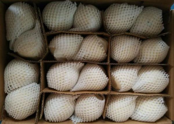 Buy cheap HACCP White Chinese Ya Pears from wholesalers