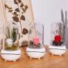 Buy cheap Real Flower ultrasonic essential oil humidifier aromatherapy diffuser with usb GK-E-X005 from wholesalers