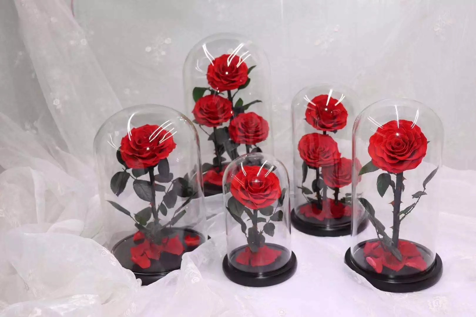 Hot Sell Lasting Preserved Yellow Rose Flowers in Glass Dome for Christams Gifts
