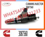 N14 Series Engine Common Rail Fuel Injector 4307516 3411691 3087560 3411765 for