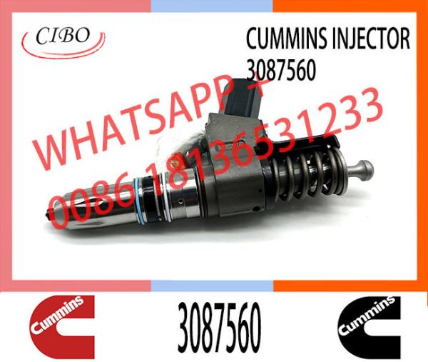N14 Series Engine Common Rail Fuel Injector 4307516 3411691 3087560 3411765 for