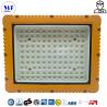 Buy cheap IP66 IK10 Waterproof Dust-proof Explosion Proof Flood Light For Heavy Industry Storage Paper Mills from wholesalers