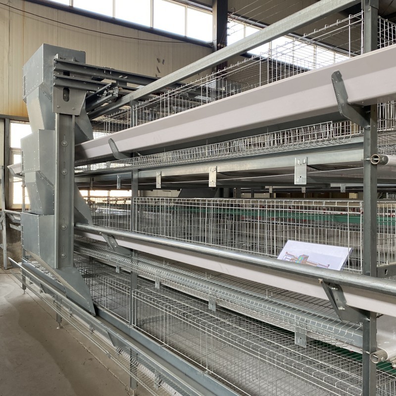Galvanized Layer Chicken Cages Automatic H Type Poultry For Farming