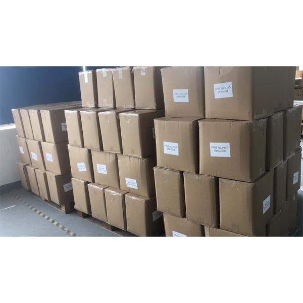 Mortuary Disaster Hospital Disposable Body Bag Leakproof With PEVA Material