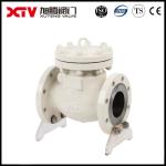 Performance ANSI Swing Type Check Valve for Heavy Duty Wcb/Stainless Steel GB/T