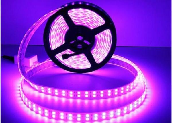 Buy cheap Flexible LED Strip Light 5050 RGB DC12V / DC24V Double Line 28.8W/M Power from wholesalers
