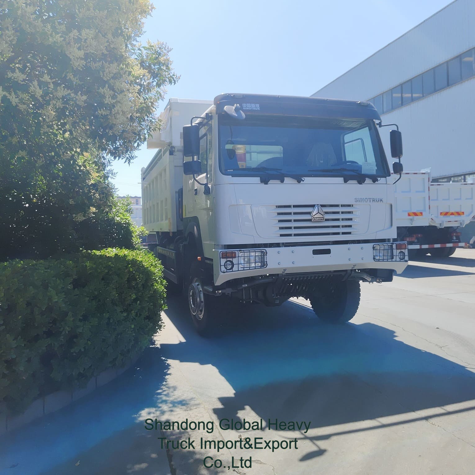 Sinotruk HOWO 6X4 371HP 380HP 8X4 400HP Dumper Tipper Tipping Diesel Sinotruck