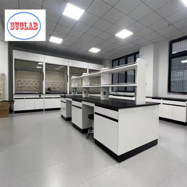 Fire Resistant Chemistry Lab Workbench Steel Wood Laboratory Furniture Hinges