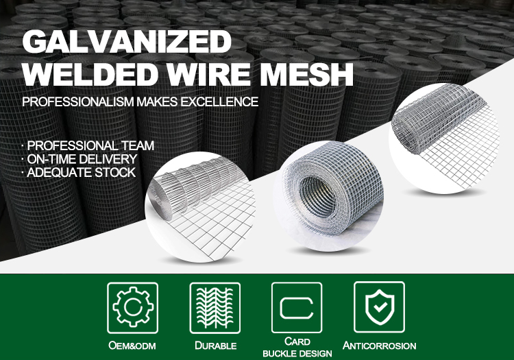 Galvanized Welded Wire Mesh Screen for Long-Lasting and Durable Protection