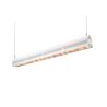 Buy cheap 300 Watt Linear Led Plant Grow Light Water Resistance Deep Penetration from wholesalers