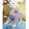 Buy cheap Fashionable Custom Pet Collars Eco - Friendly For Pet Outdoor Activities from wholesalers