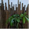 Buy cheap 4cm To 20cm Tonkin Raw Bamboo Poles Carbonized Black Green Red Customized from wholesalers