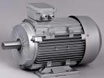 Buy cheap Two Pole Induction Motor 2 Pole 220V High Low Rpm 3 Hp Ac from wholesalers