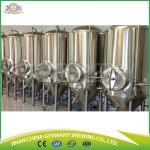 300L commercial brewery equipment for sale for pub brewing