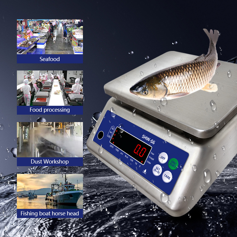 ODM Supported Double Screen 30kg Waterproof Table Electronic Scale with LED Display