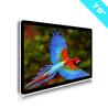 Buy cheap 70" Indoor Digital Advertising Screens Replacement Screen For LCD Advertising TV from wholesalers