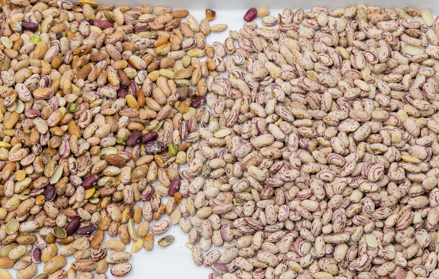 Fully Automatic Soybean Color Sorter / Red Bean / Mung Bean / Coffee Bean Color Sorting Machine