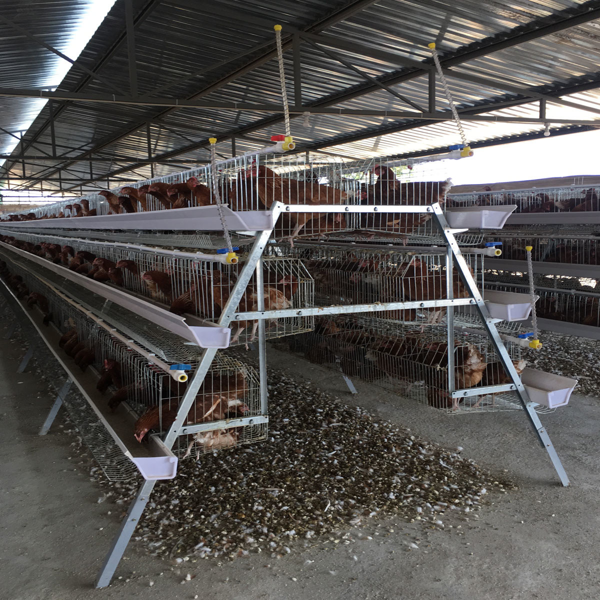 Poultry Chicken Cages 4 Tiers A Type Automatic Battery Layer Chicken Wire Egg Laying Hens Cage