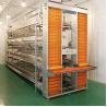 Buy cheap Q235 Steel Automatic Poultry Farm Equipment Chicken Layer Cages For Laying Hens from wholesalers