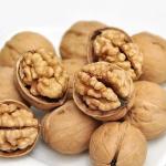 Good Quality China Big Size 32mm+/34mm+ Top Thin Raw Cashew Nuts Wholesale Raw
