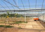 Plastic Polyethylene Film Greenhouse , Hydroponic Greenhouse For Vegetable