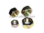 Metric M4-M52 Hex Nuts Carbon Steel and Stainless Steel for Various Applications