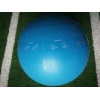 Buy cheap PVC Fitness Exercise Weighted Medicine Balls Easy Grip Oem product