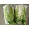 Buy cheap Organic Green Flat Head Cabbage With Japan Standard HACCP&GAP Standard from wholesalers