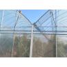 Buy cheap Rose Cherry Tomato Plastic Cover Greenhouse Single Span With Hydroponics System from wholesalers