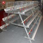 Q235 Hot Galvanized Egg Laying Hens Cage Poultry Farming Equipment Automated