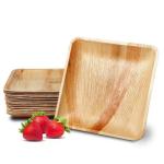 100% Compostable Biodegradable Palm Leaf Plates Disposable