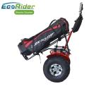 2 Wheel Balance Electric Scooter EcoRider Dropshop 21 Inch Tire Self Balancing