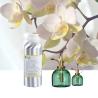 Buy cheap Concentrated Perfume Fragrance Oil Magnolia Blossom Essential Oil from wholesalers