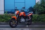 Powerful hot-selling and new design four strokes street bike 200cc/250cc