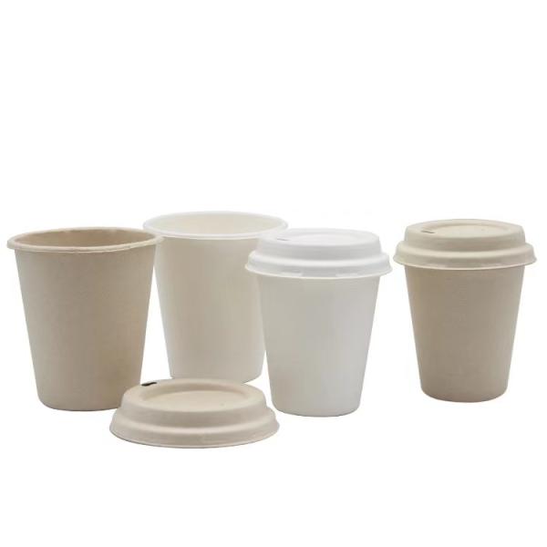 Buy cheap Biodegradable Sugarcane Bagasse Cups Disposable Fiber Pulp Cup 12oz Take Out from wholesalers